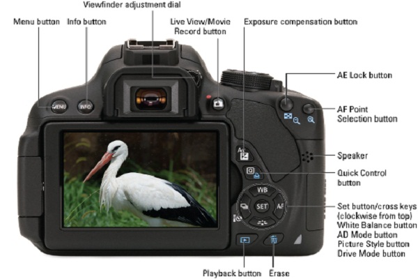 Digital Popular Cameras Review-Canon EOS Rebel T5